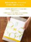 キハチ 焼菓子ギフト 8種11個入